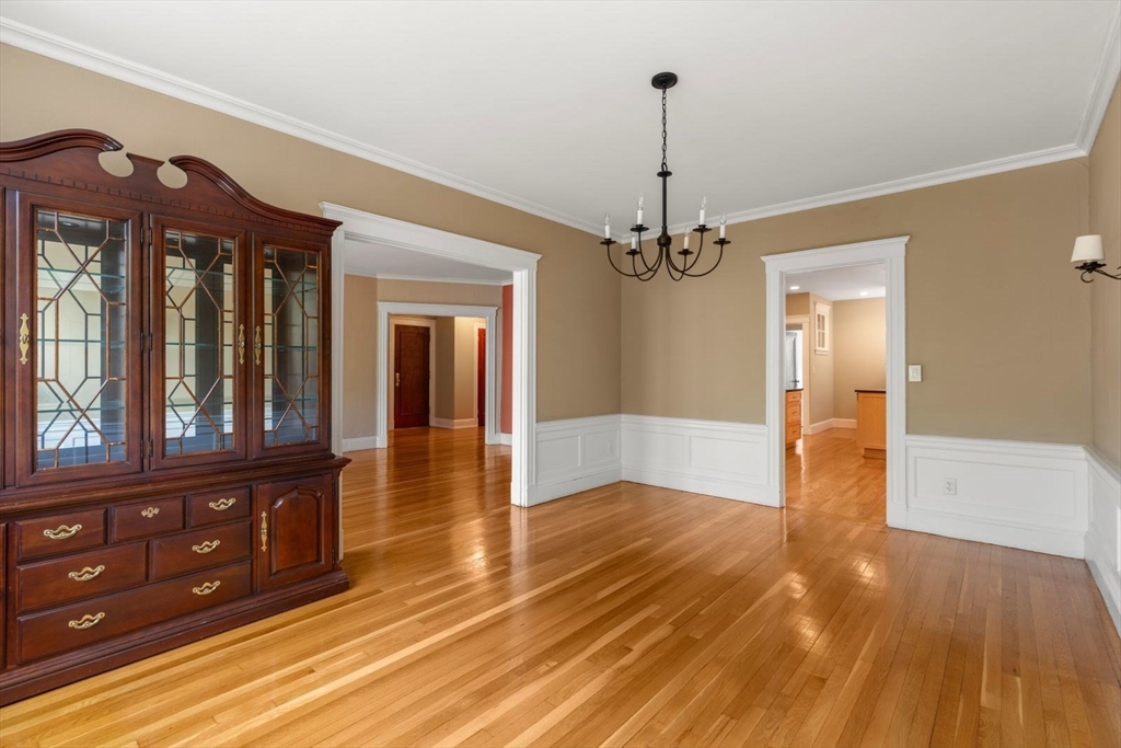 20 Egmont Street # 4