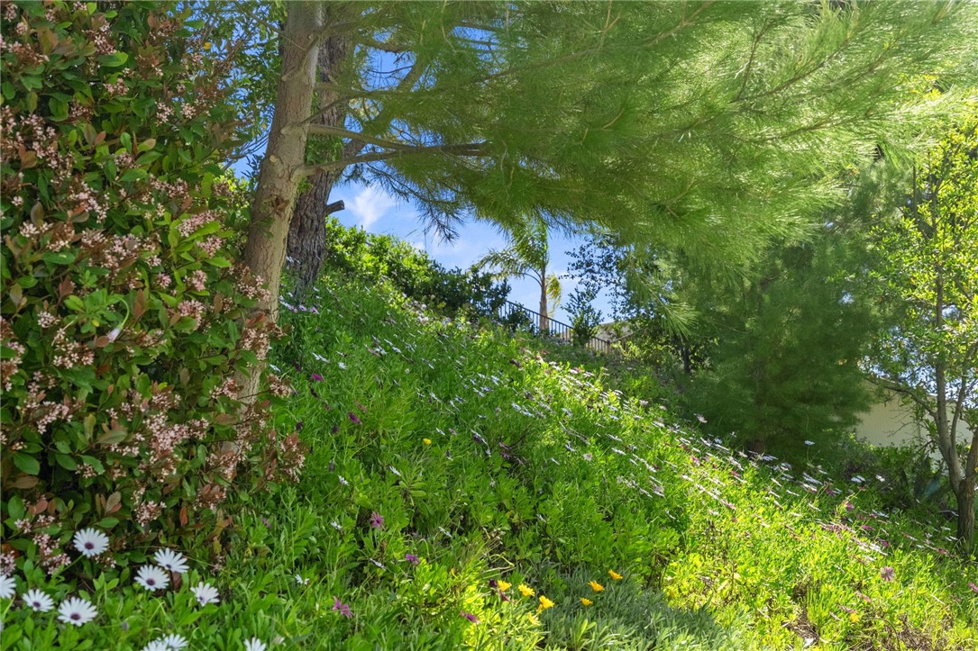 1043 Smoketree Drive