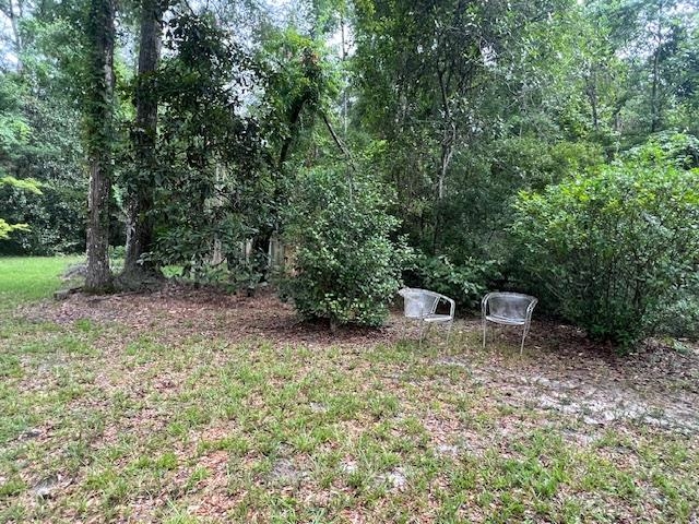 Wooded yard with two chairs in a leaf-covered clearing beneath mature trees.