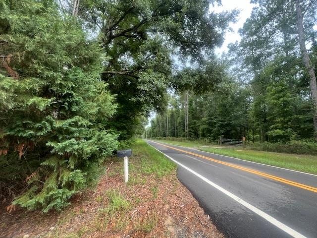 Tree-lined road beside a mailbox and grassy roadside verge.