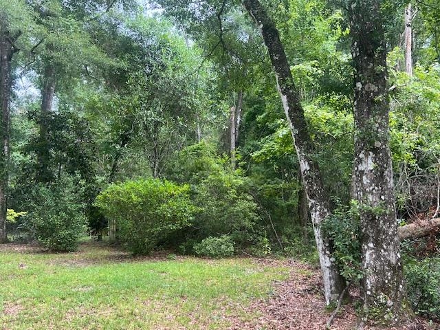 Wooded property with a grassy clearing and mature trees.