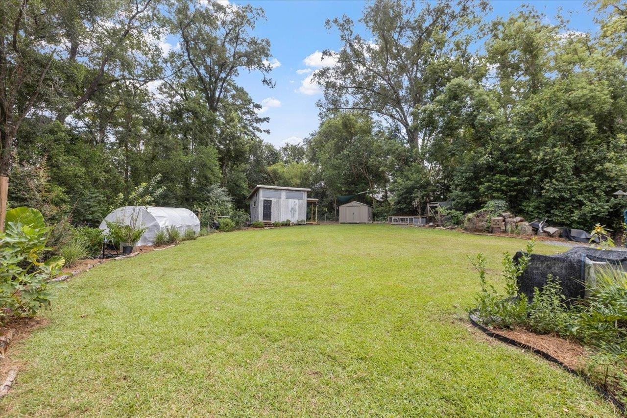 Grassy backyard with a greenhouse, storage sheds, and mature trees.