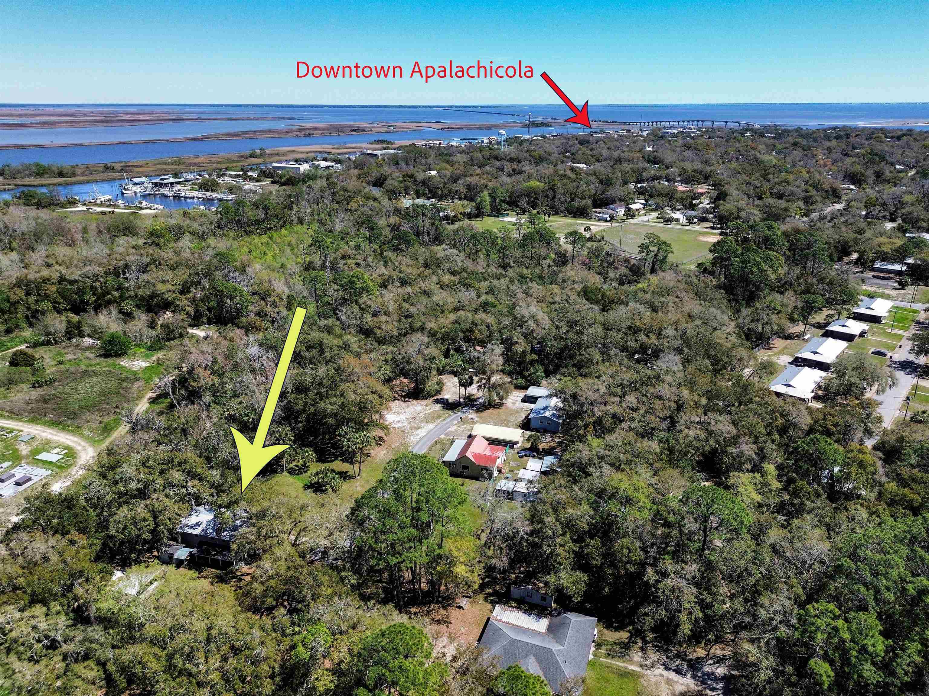Aerial view of a wooded lot marked by a yellow arrow, with waterways and downtown Apalachicola beyond.