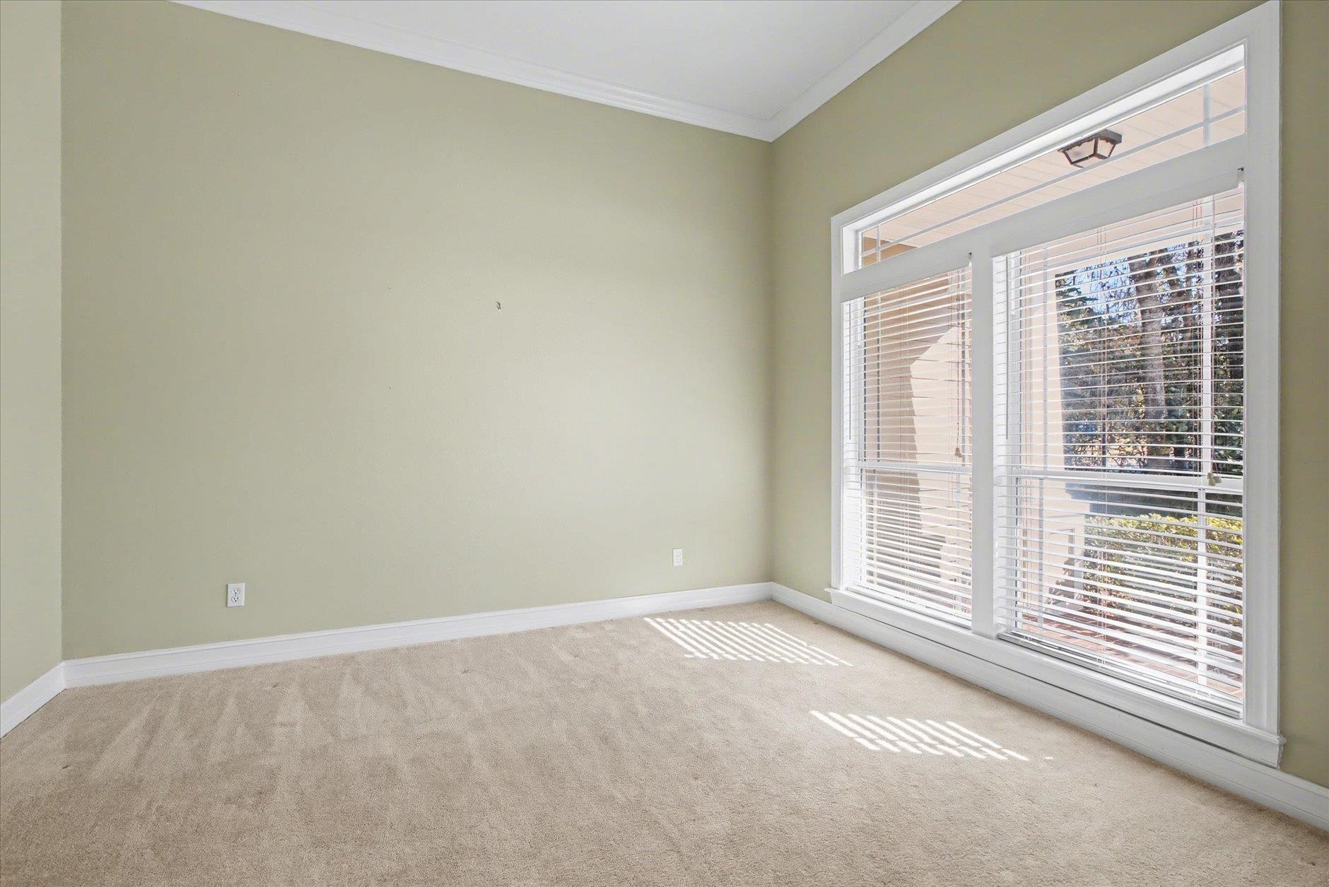 Empty carpeted room with pale green walls and large windows with white blinds.