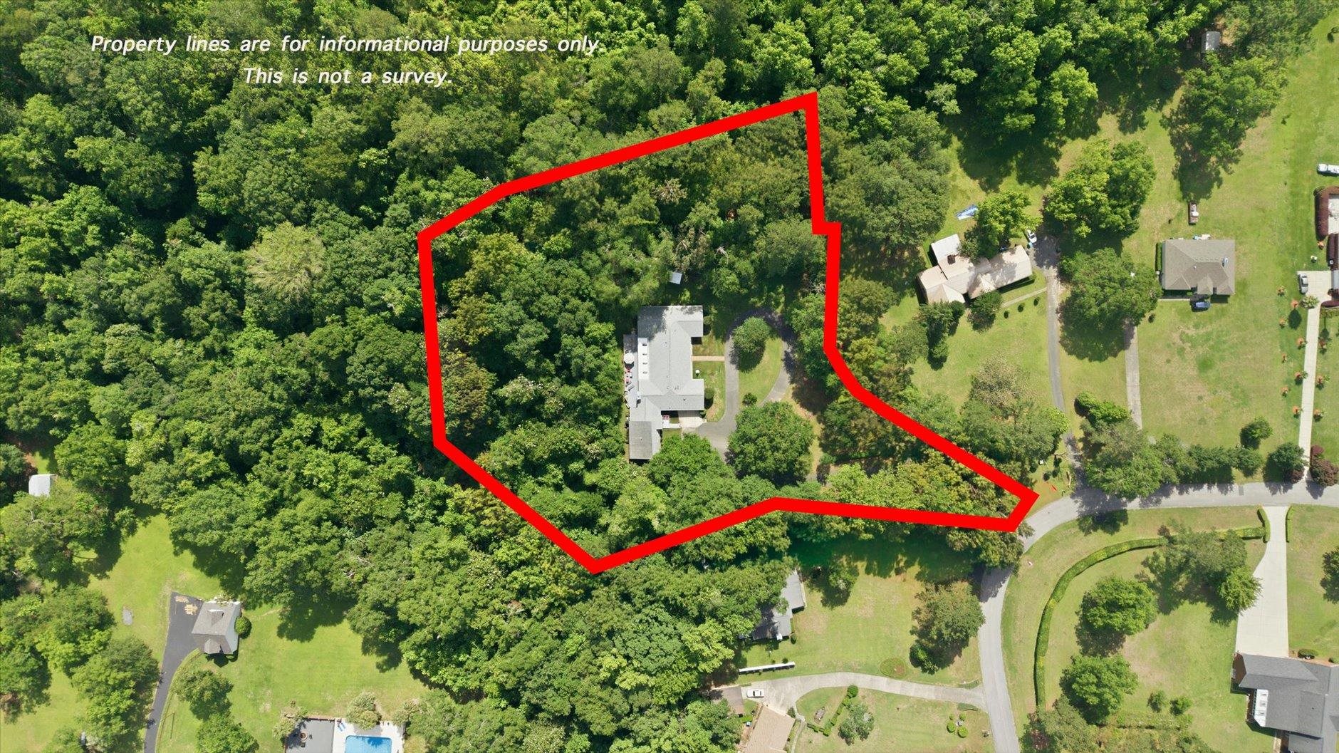 Aerial view of a wooded property outlined in red, with a house and driveway.