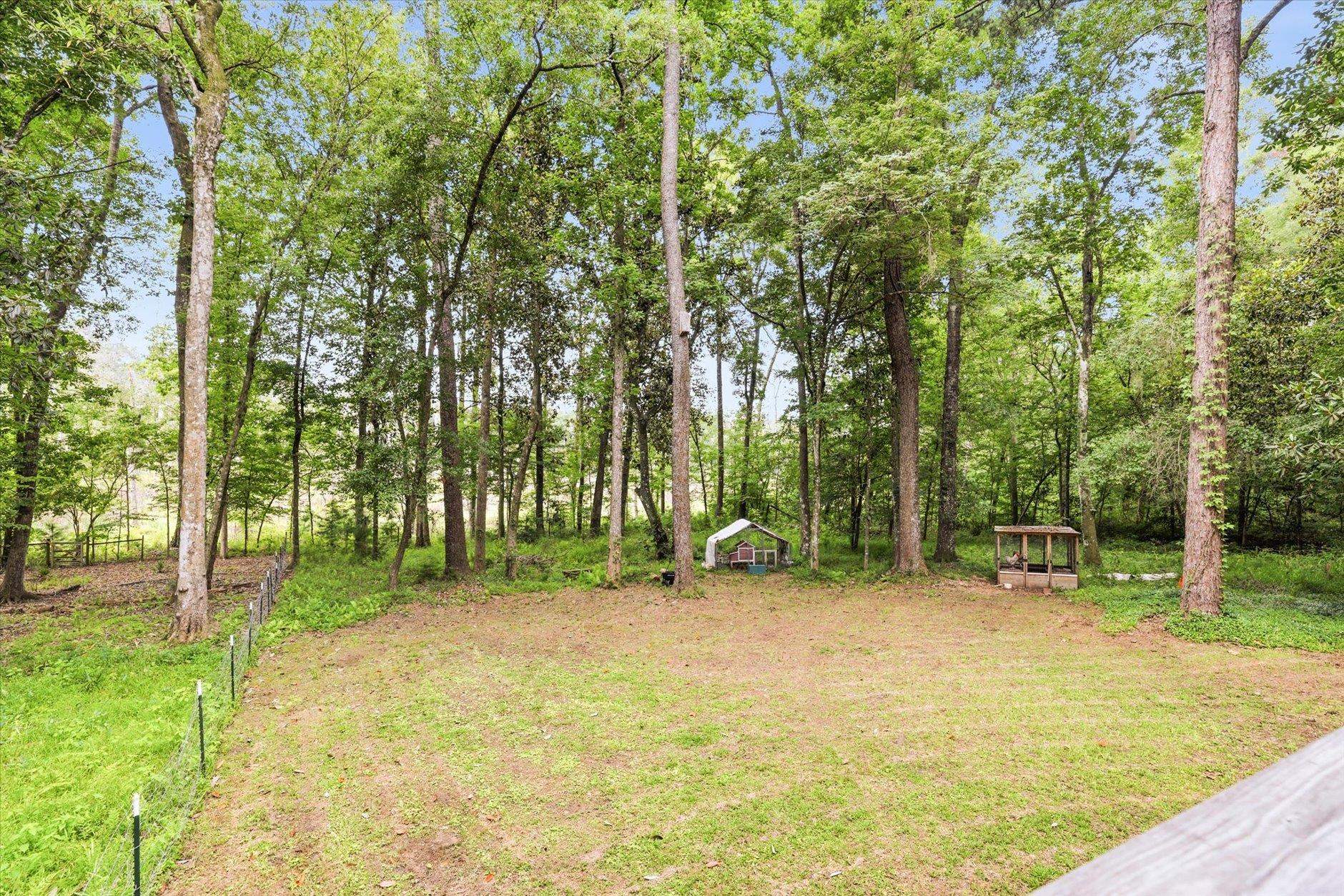 Wooded property clearing with mature trees, a small shed, and a covered wooden structure.