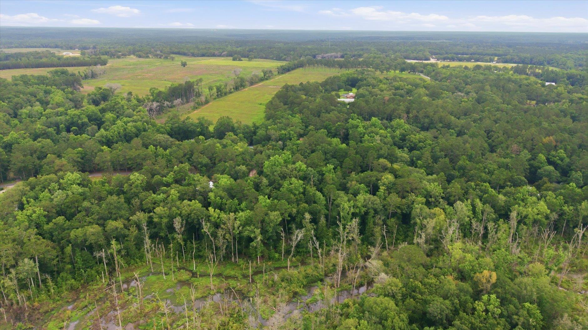 Aerial view of wooded acreage, open fields, and wetlands.