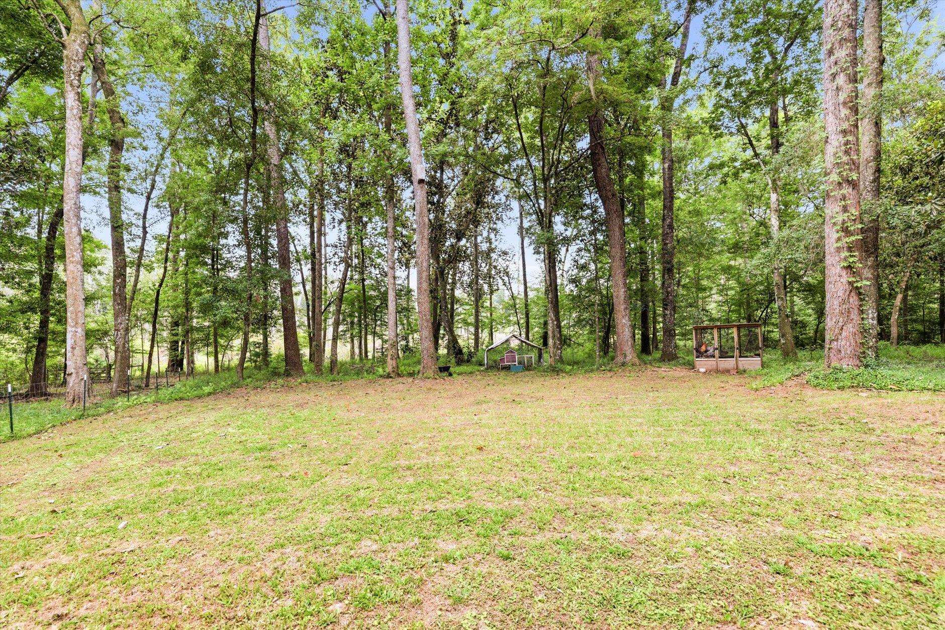 Grassy backyard shaded by mature trees, with a small playhouse and wooden play structure.