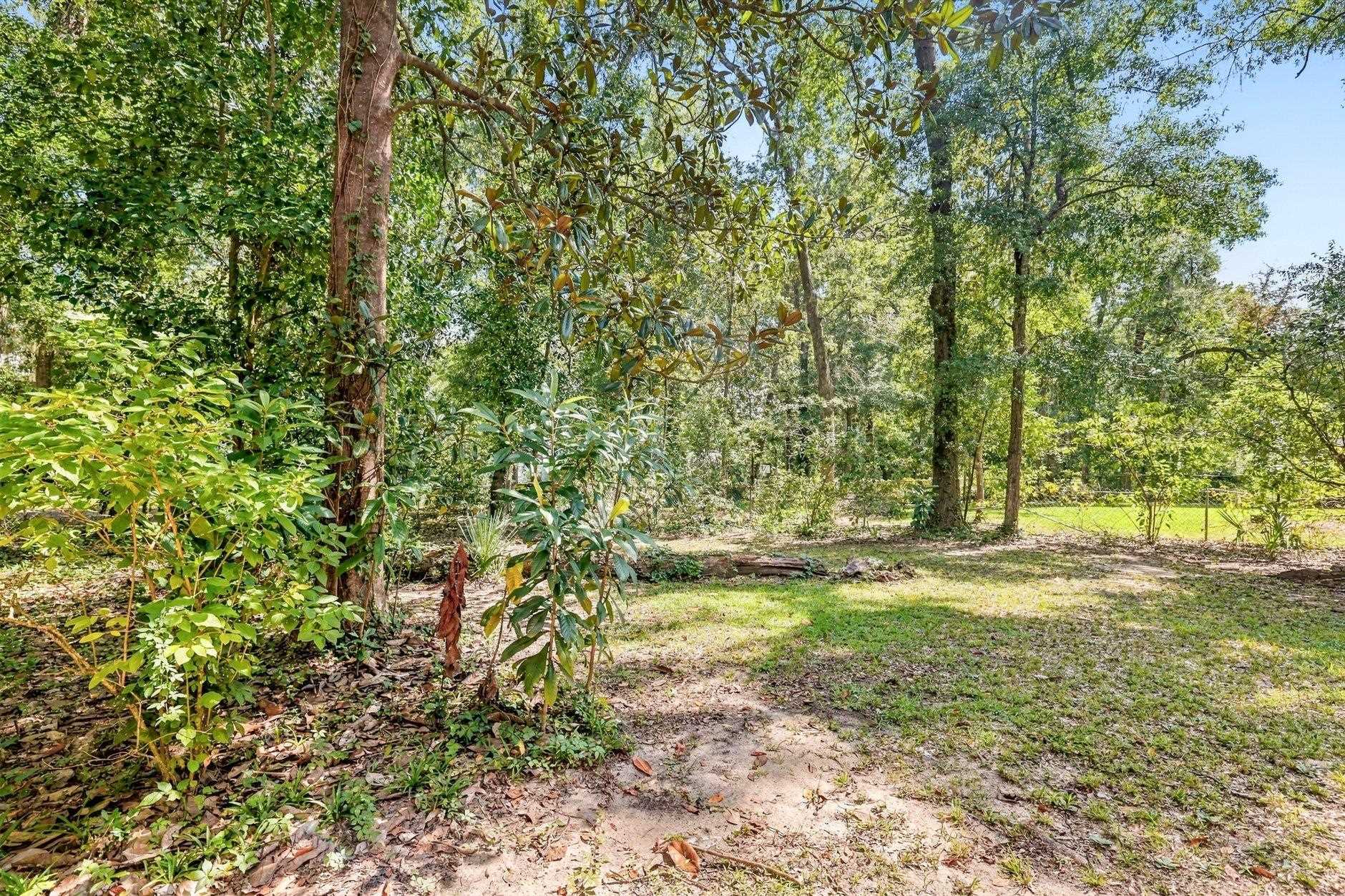 Wooded backyard with a sandy path, mature trees, and a chain-link fence.