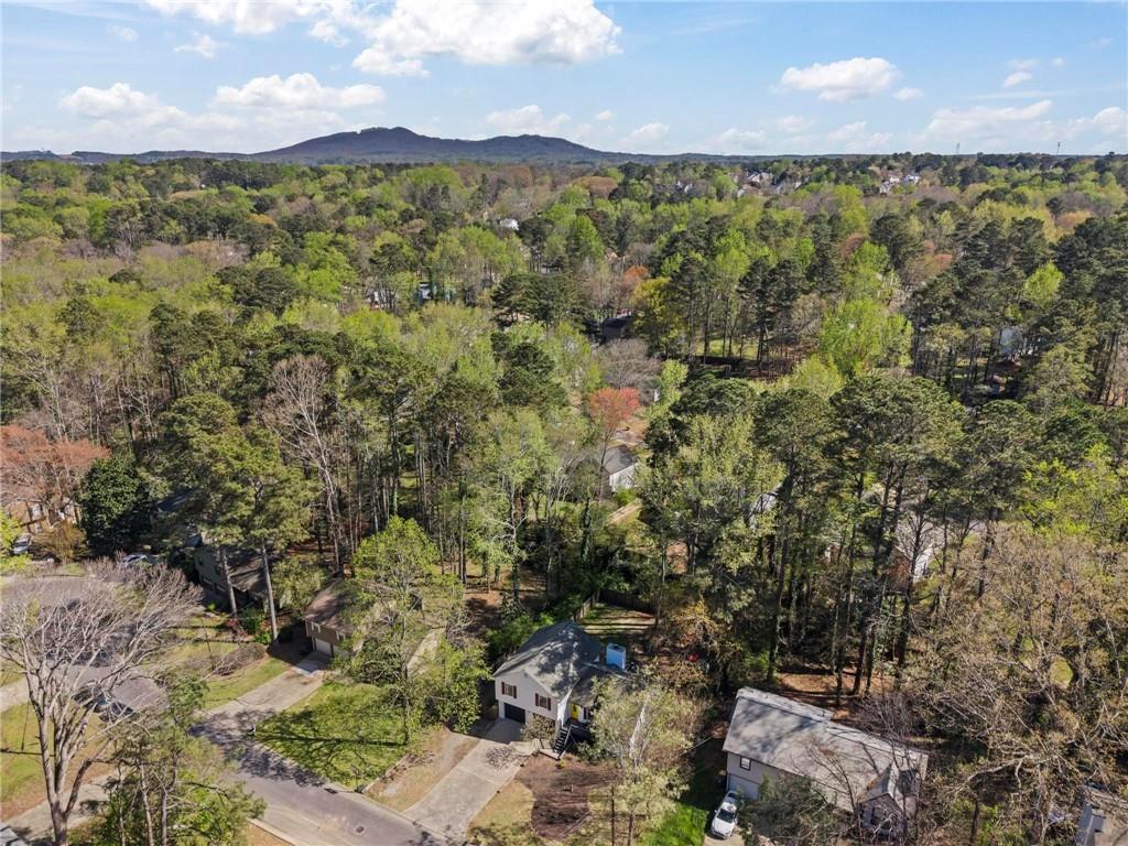 3065 Sumit Wood Drive NW