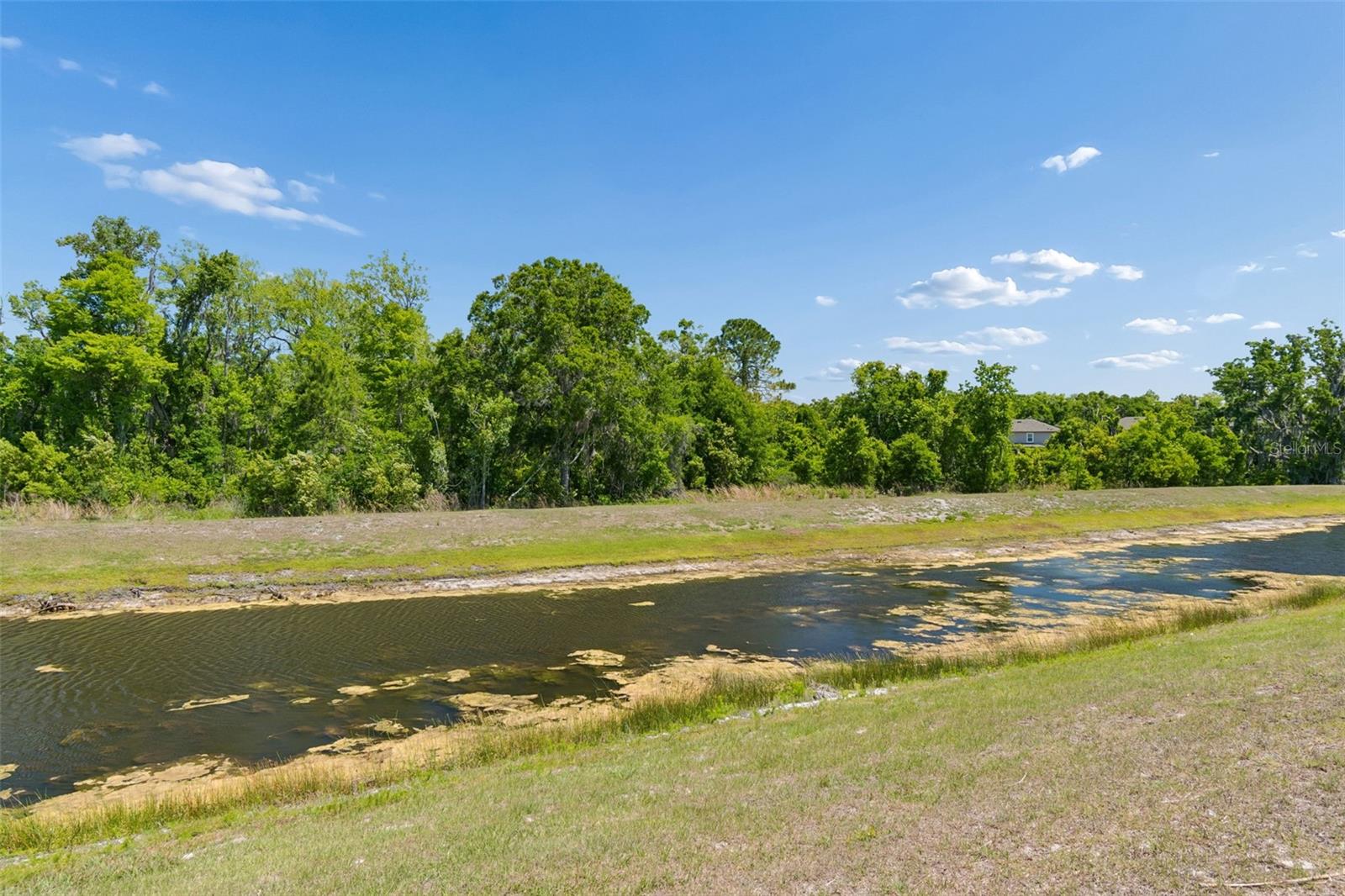 17647 CORTES CREEK BLVD