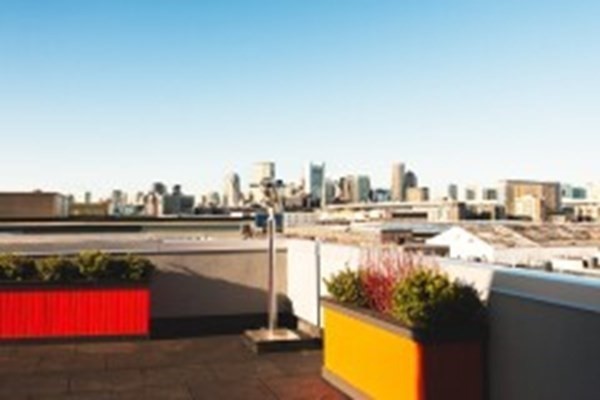 11 Dorchester St # 302