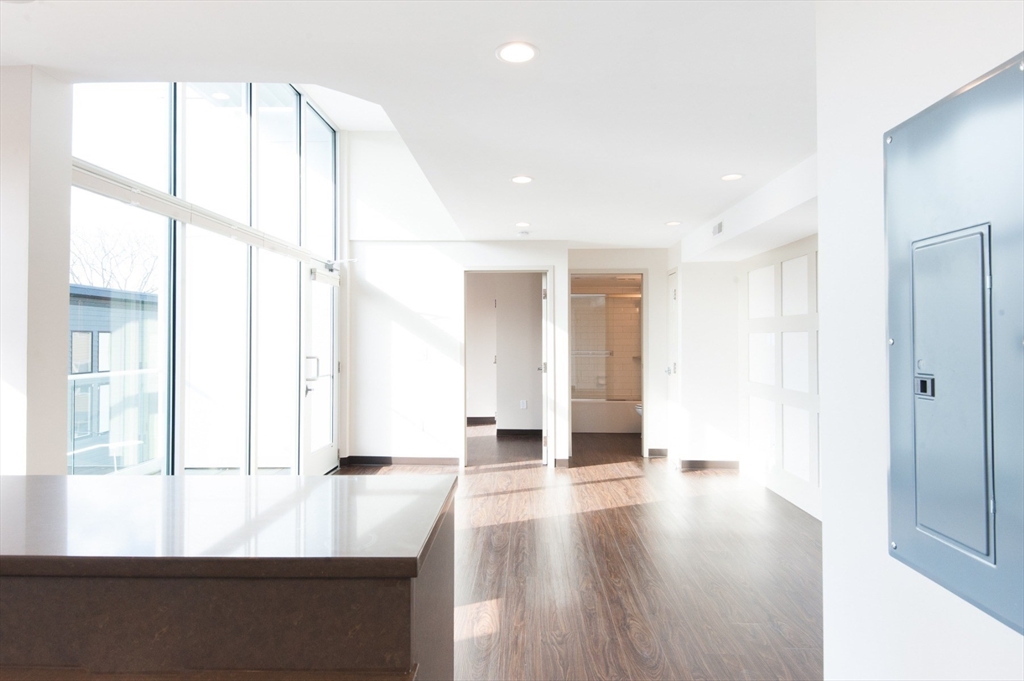 11 Dorchester St. # 204