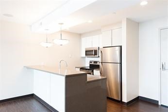 11 Dorchester St. # 206