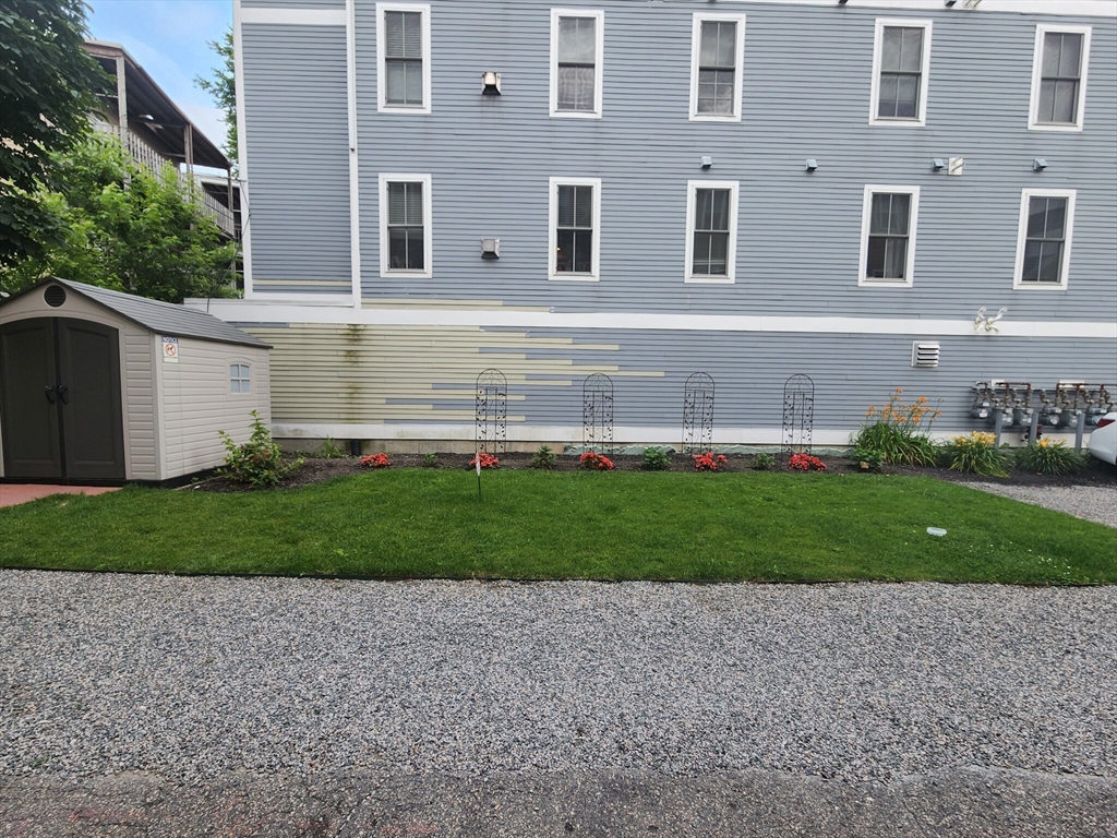 5 Sayward Place # 3