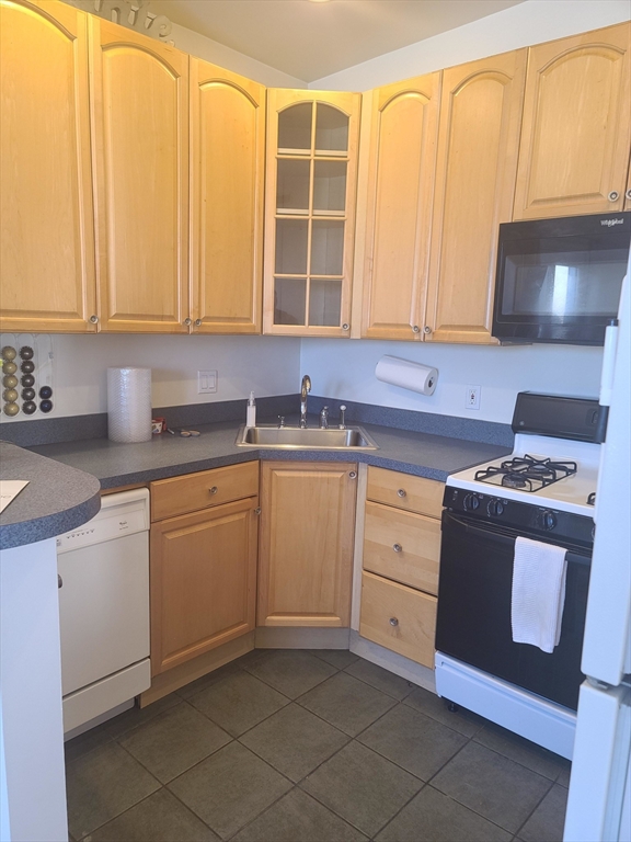 31 Jenkins St. # 3