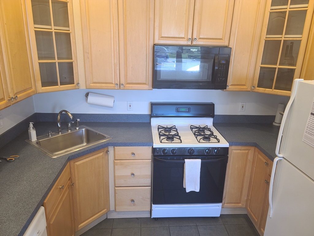31 Jenkins St. # 3