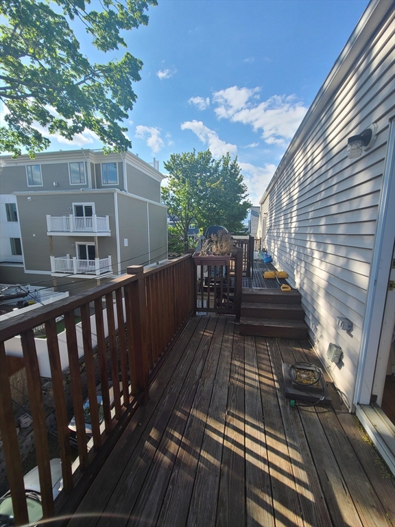31 Jenkins St. # 3