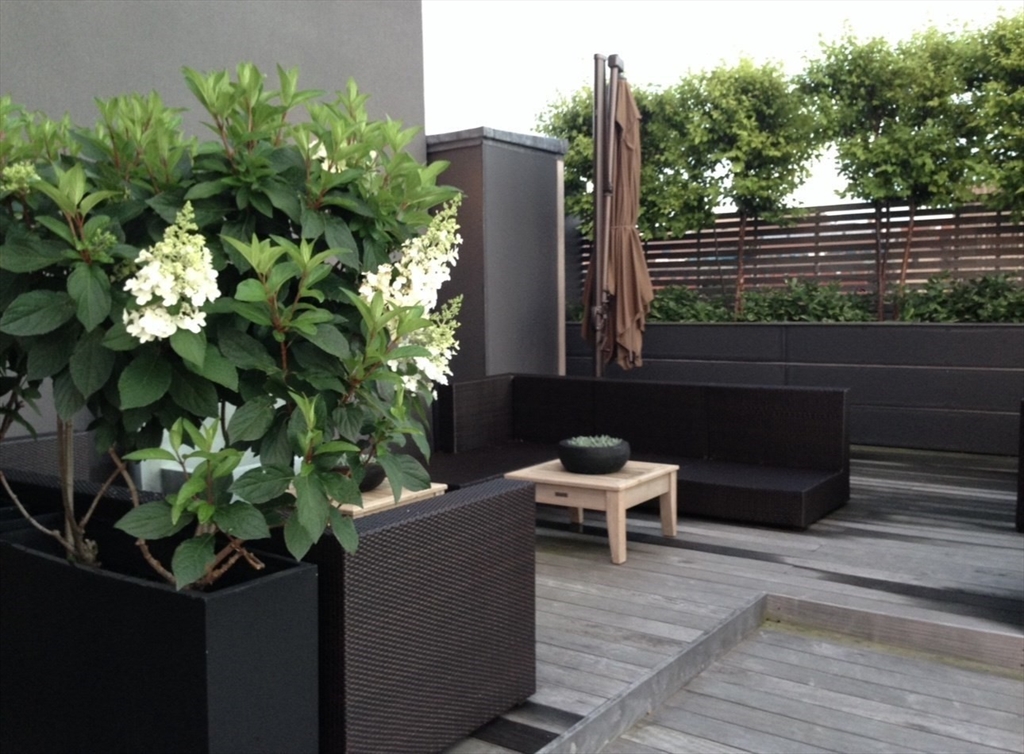 27 Wareham Street Unit: Penthouse