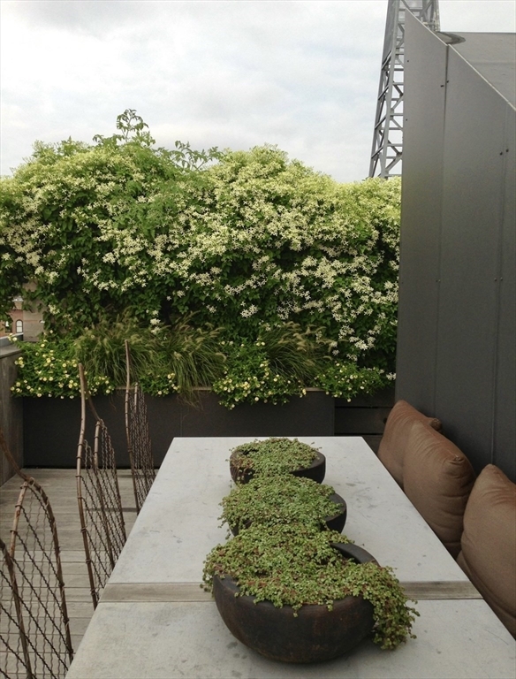 27 Wareham Street Unit: Penthouse