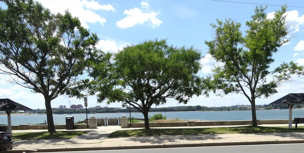 50 B Street # 6
