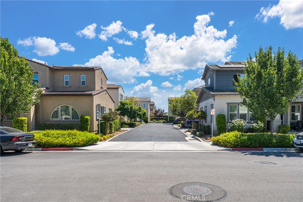 Residential street lined with two-story homes, leafy trees, and landscaped yards.