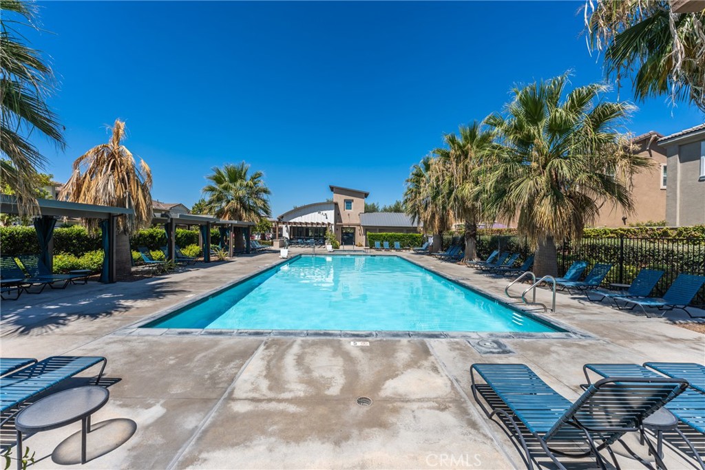 Outdoor swimming pool framed by palm trees, blue loungers, and a shaded pergola.