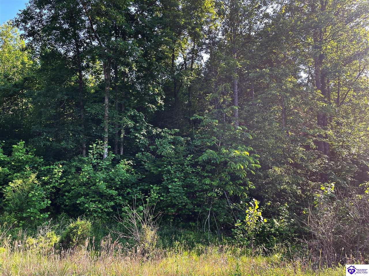 Lot 3 Rineyville Big Springs Rd.