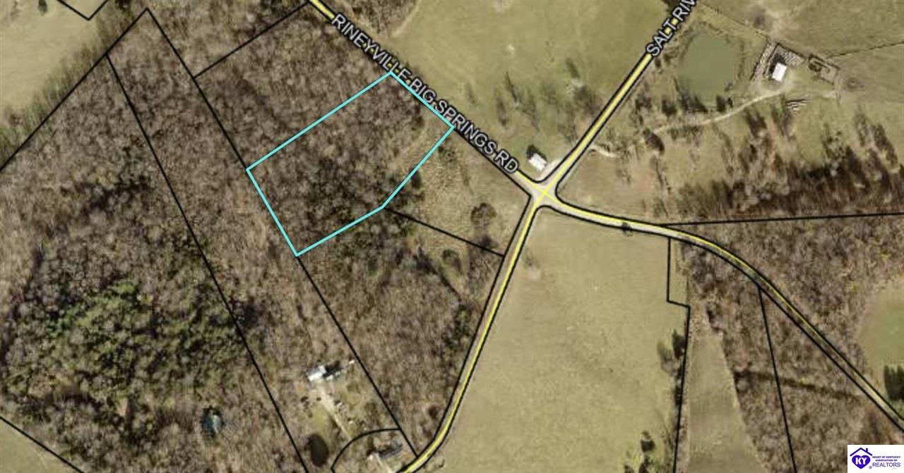 Lot 3 Rineyville Big Springs Rd.