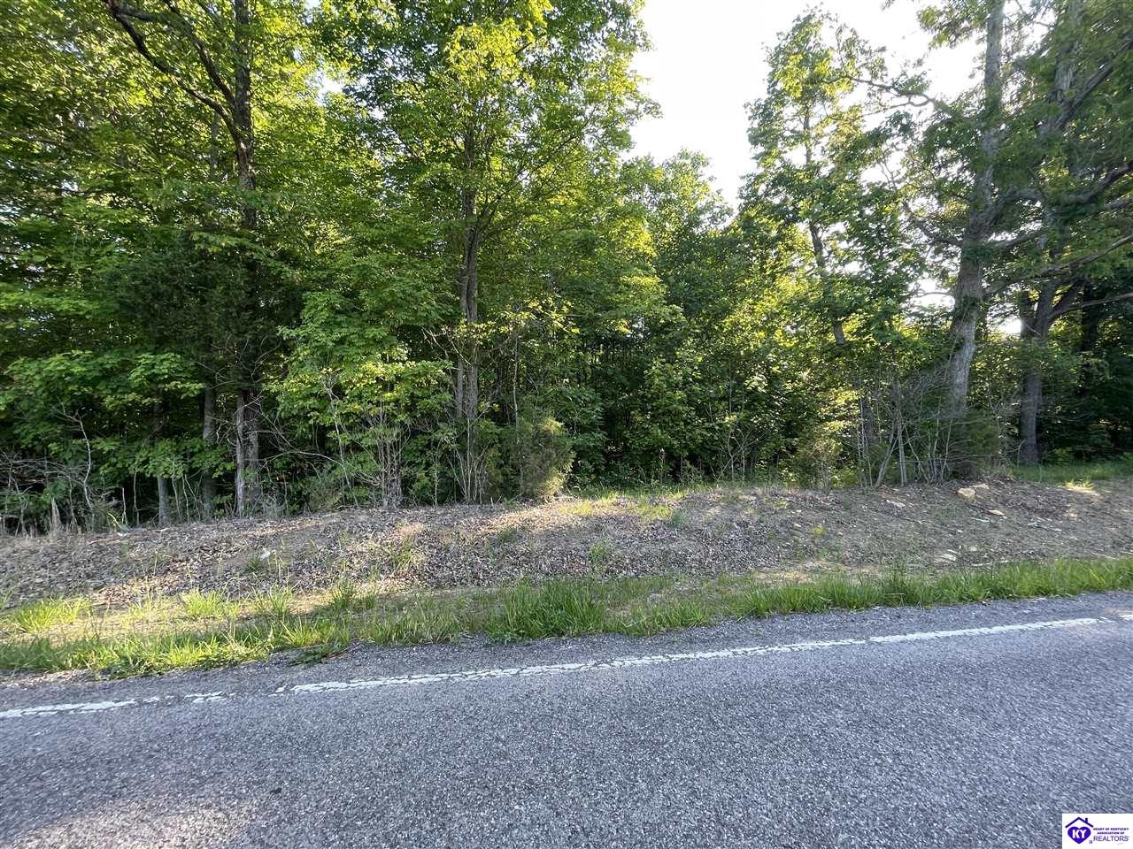 Lot 3 Rineyville Big Springs Rd.