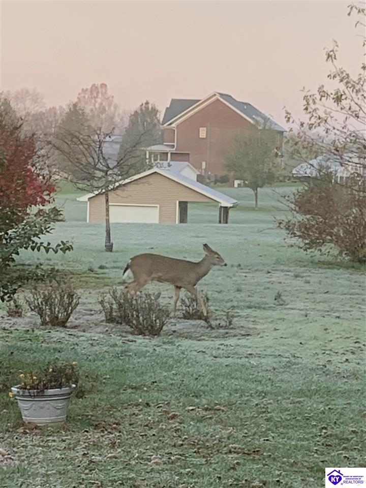 262 Thousand Oaks Drive