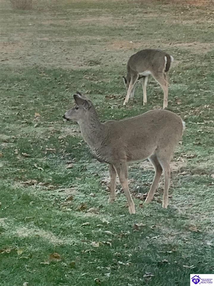 262 Thousand Oaks Drive