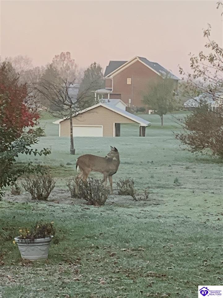 262 Thousand Oaks Drive