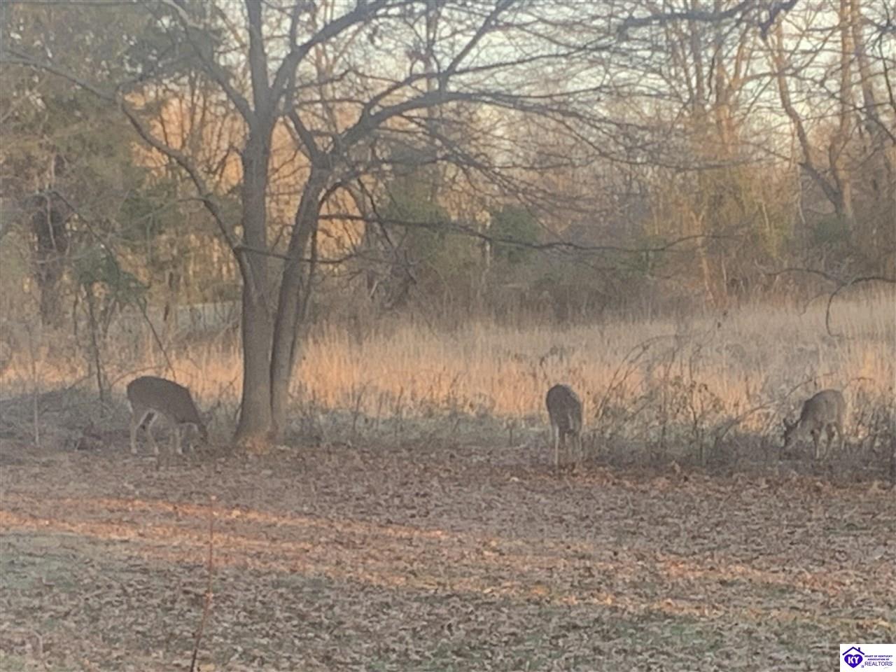 262 Thousand Oaks Drive