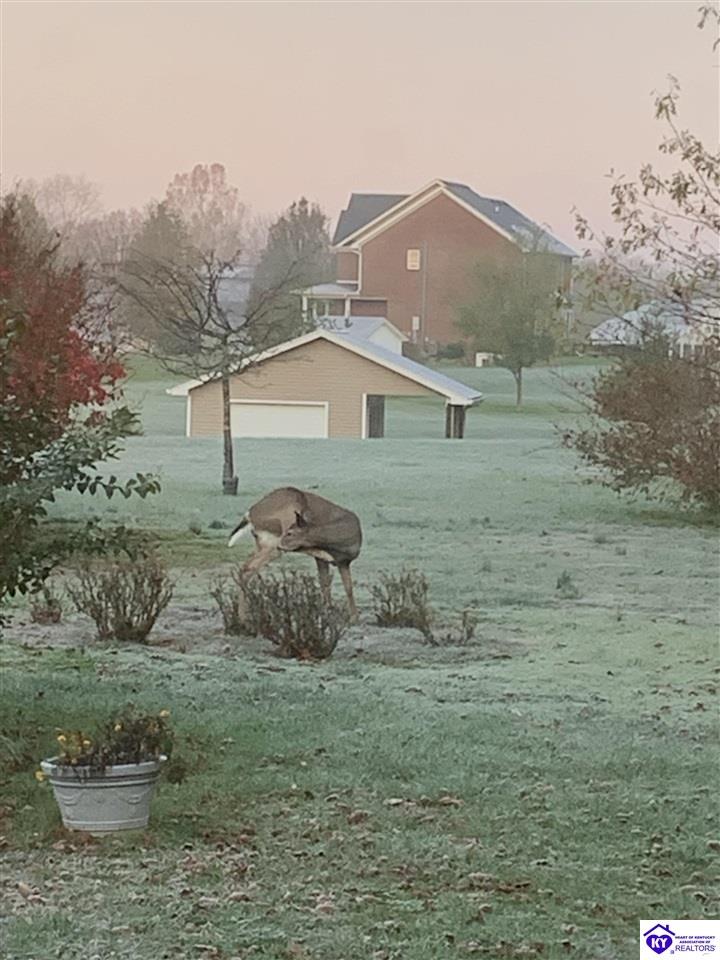 262 Thousand Oaks Drive