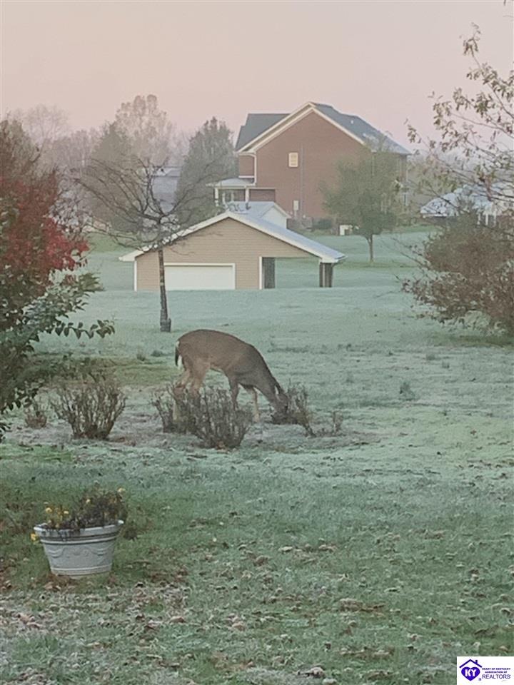 262 Thousand Oaks Drive