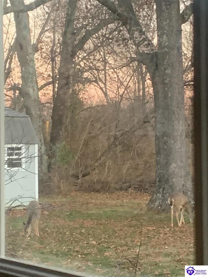 262 Thousand Oaks Drive