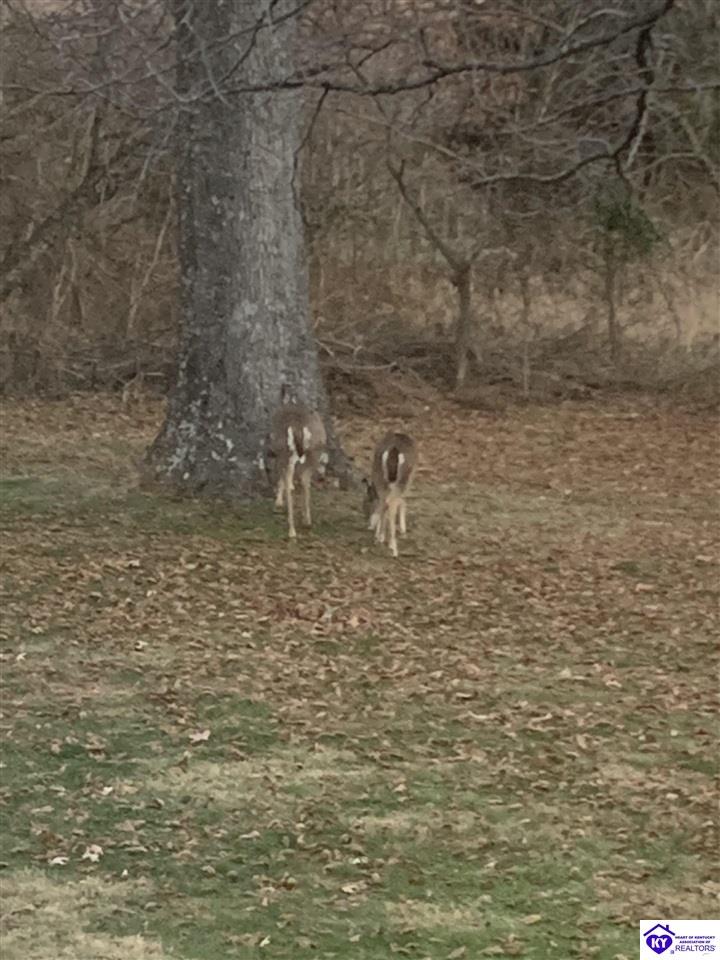 262 Thousand Oaks Drive