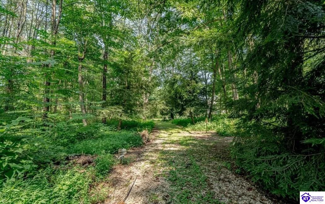 262 Thousand Oaks Drive