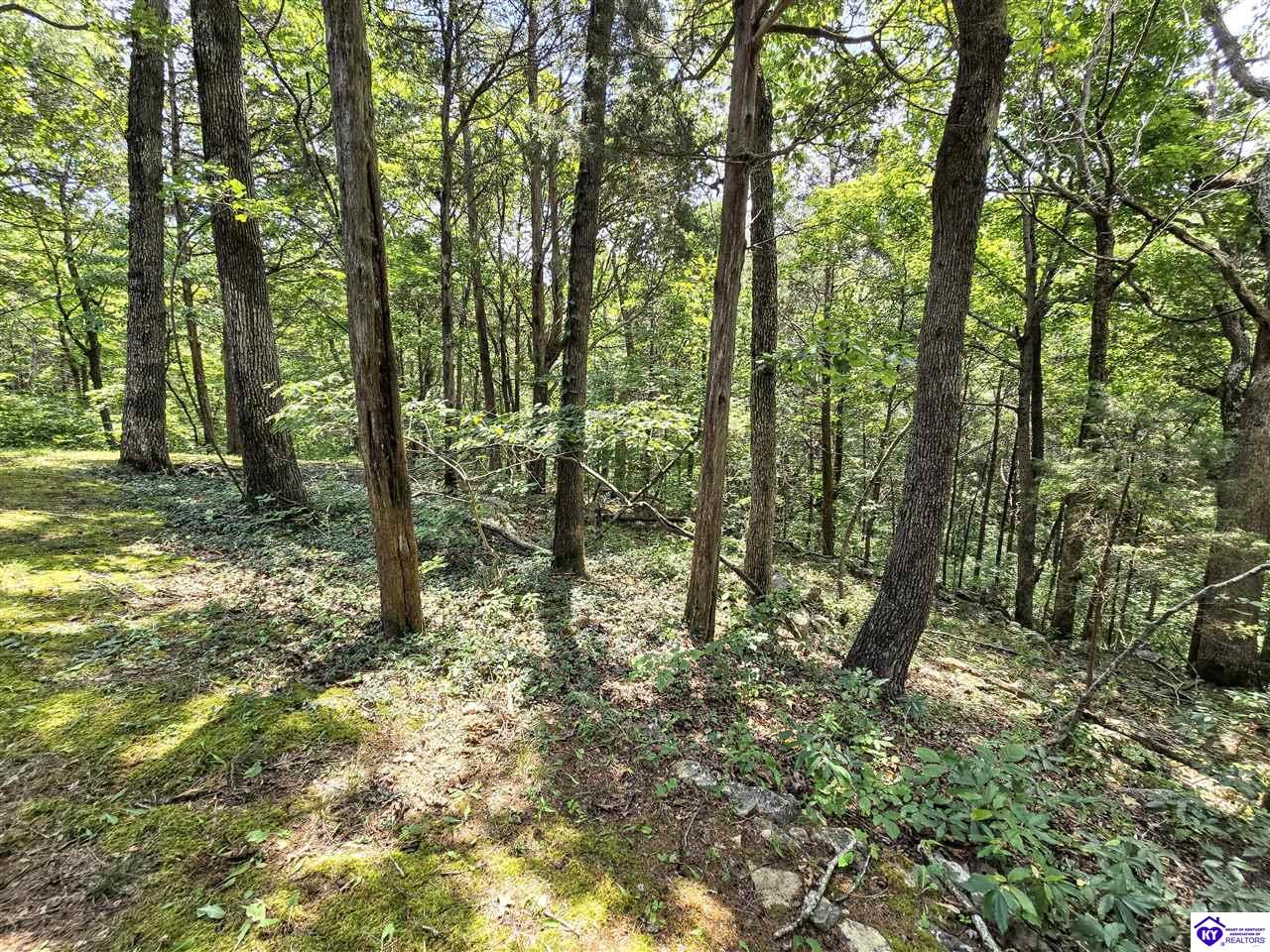 78 Hickory Hills Court