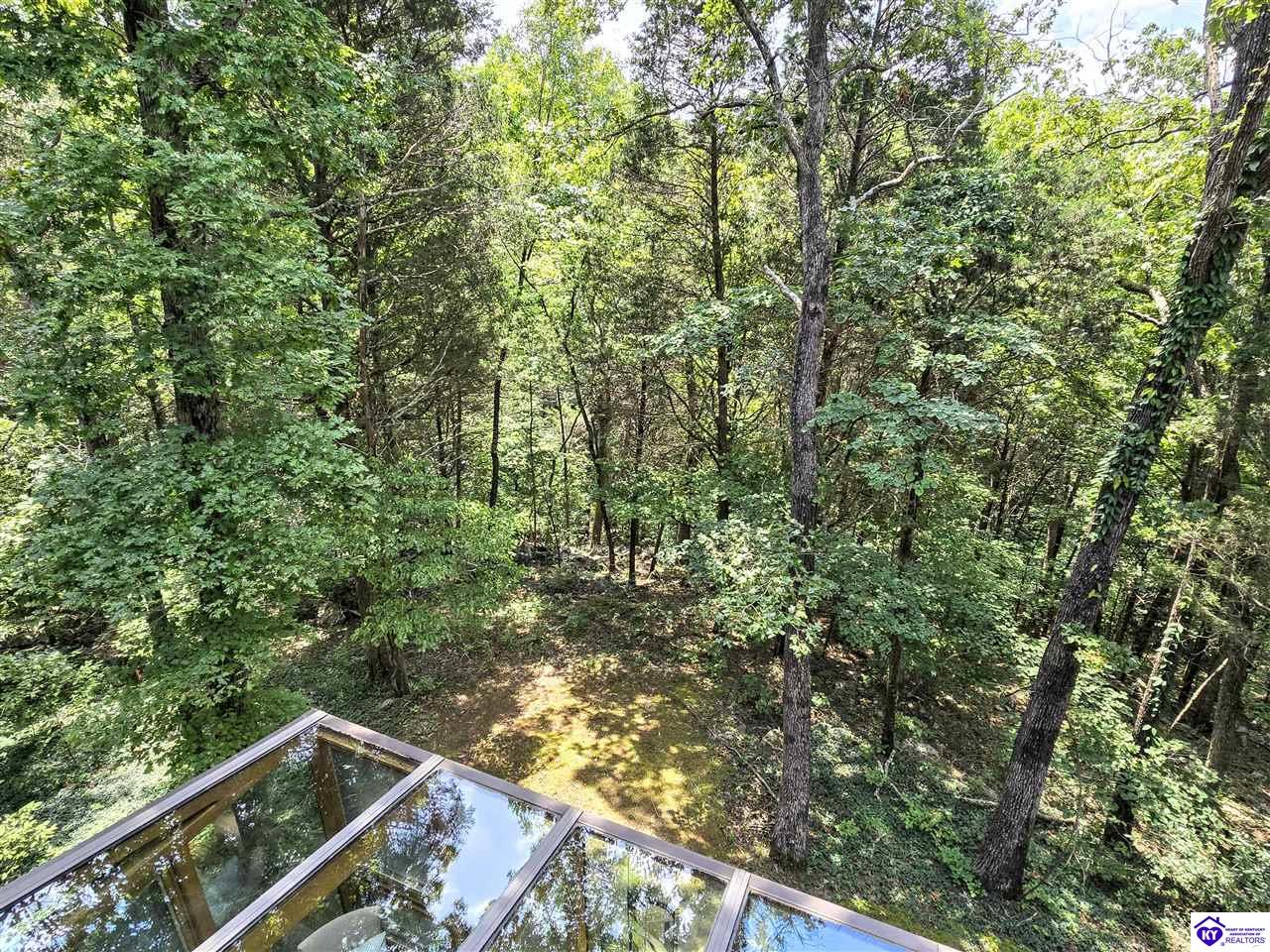 78 Hickory Hills Court