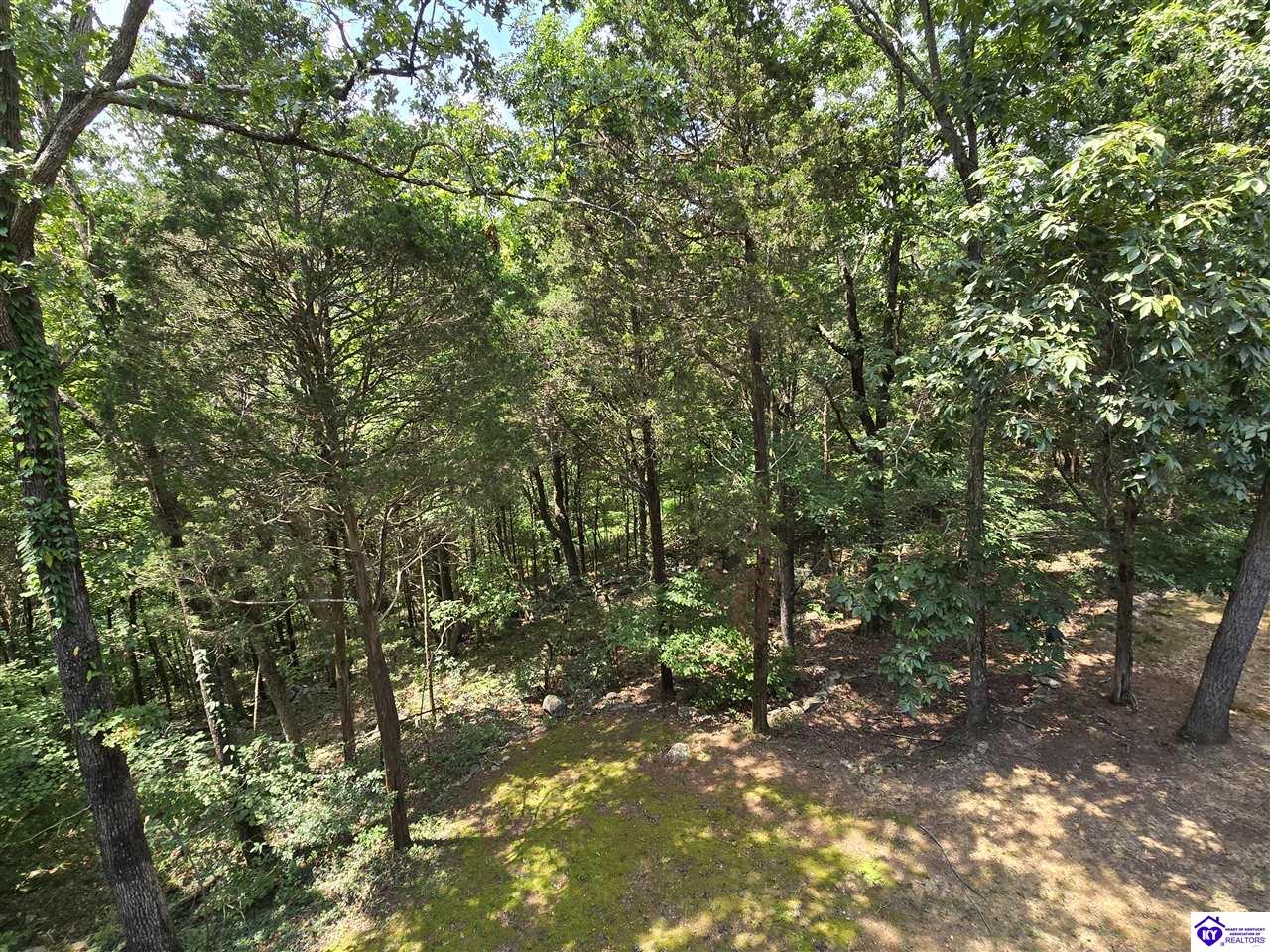 78 Hickory Hills Court