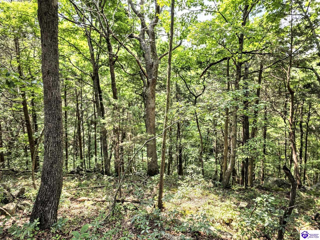 78 Hickory Hills Court