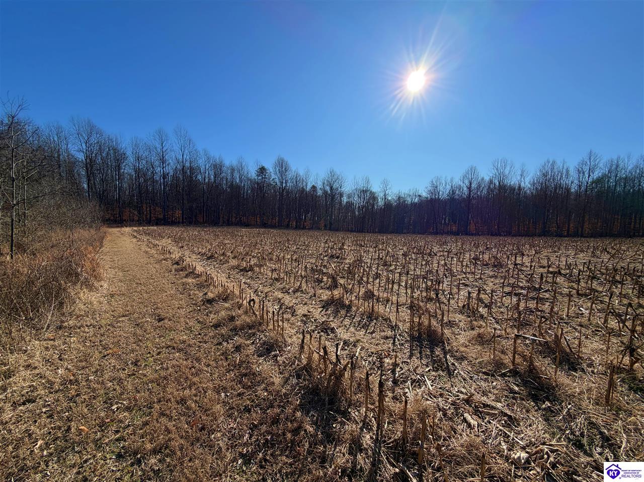 Lot 4 Booth Station Lane