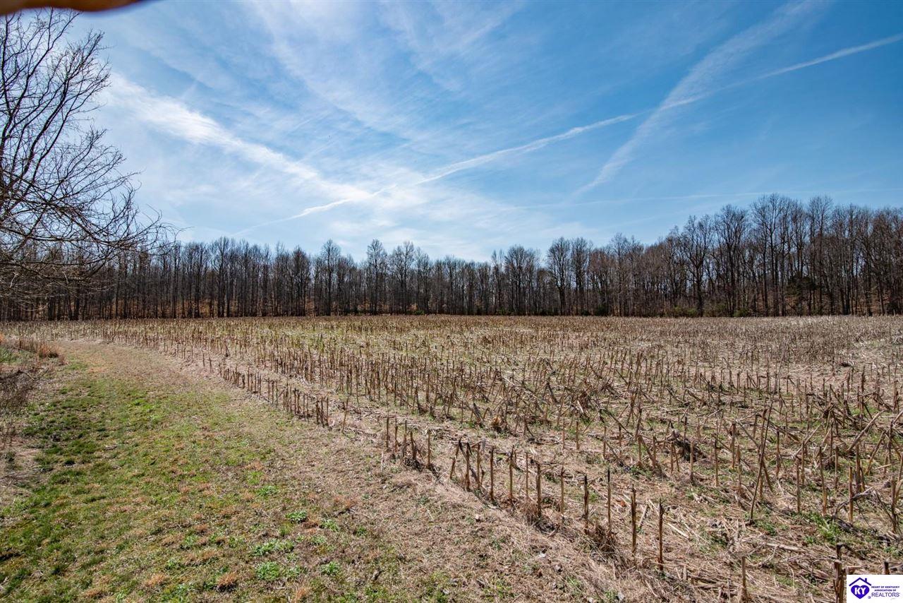 Lot 4 Booth Station Lane