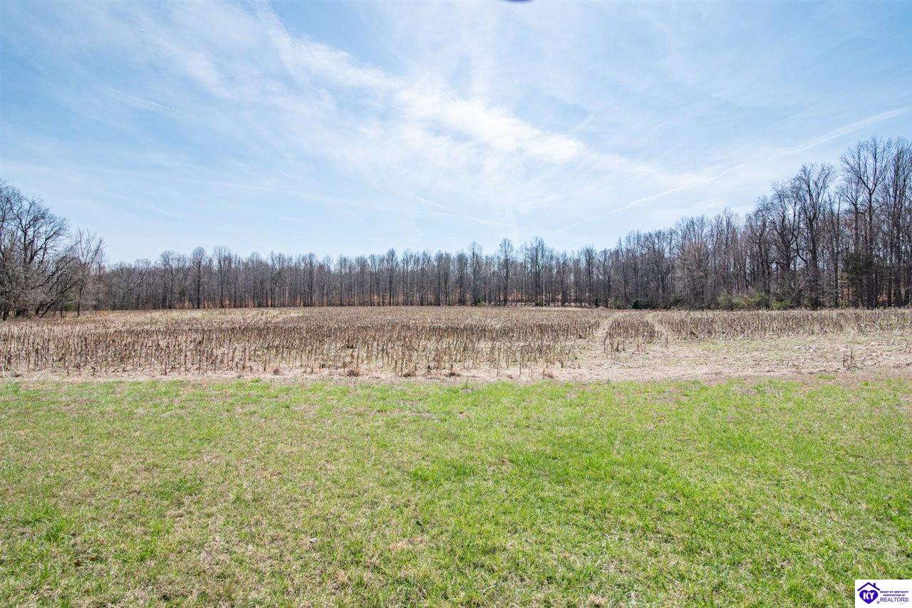 Lot 4 Booth Station Lane