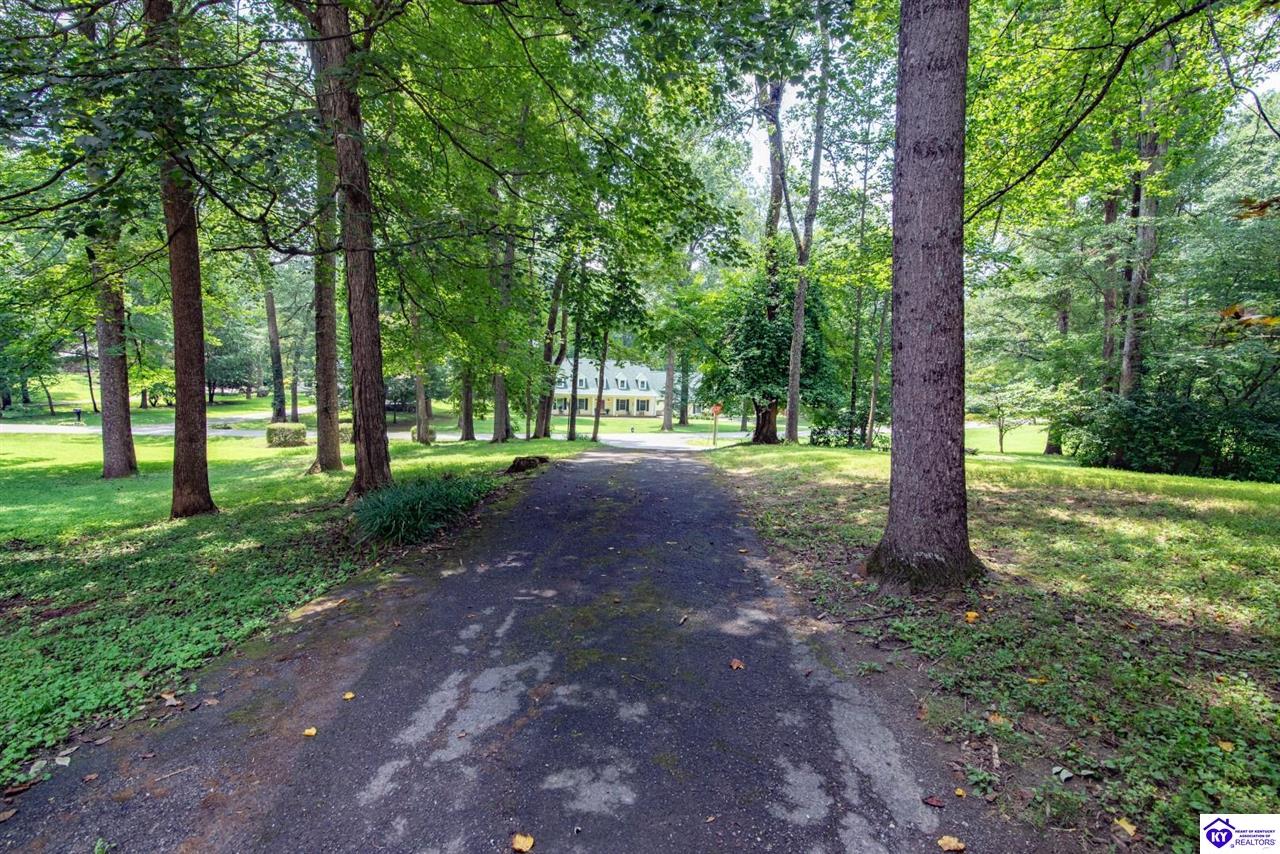 198 Mayapple Lane