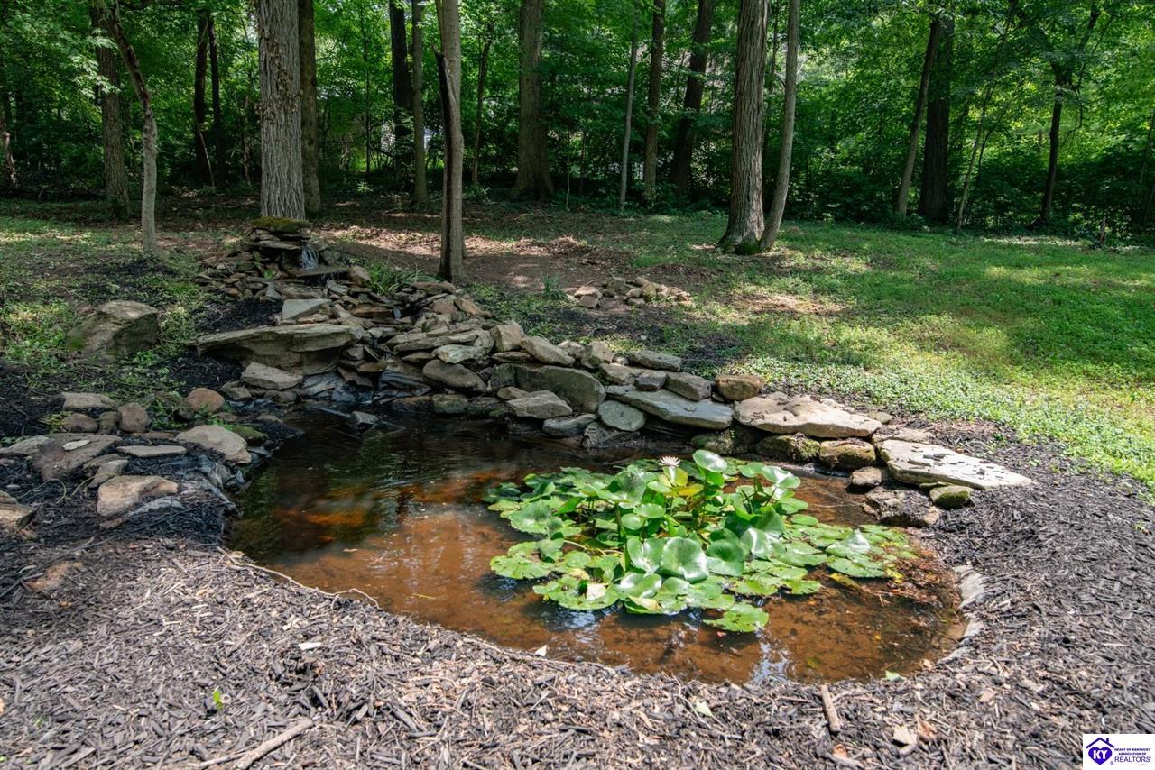 198 Mayapple Lane