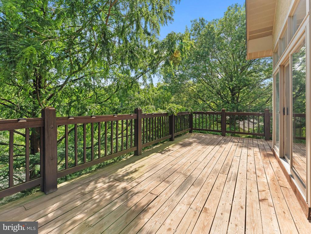 455 COPPER BEECH CIRCLE