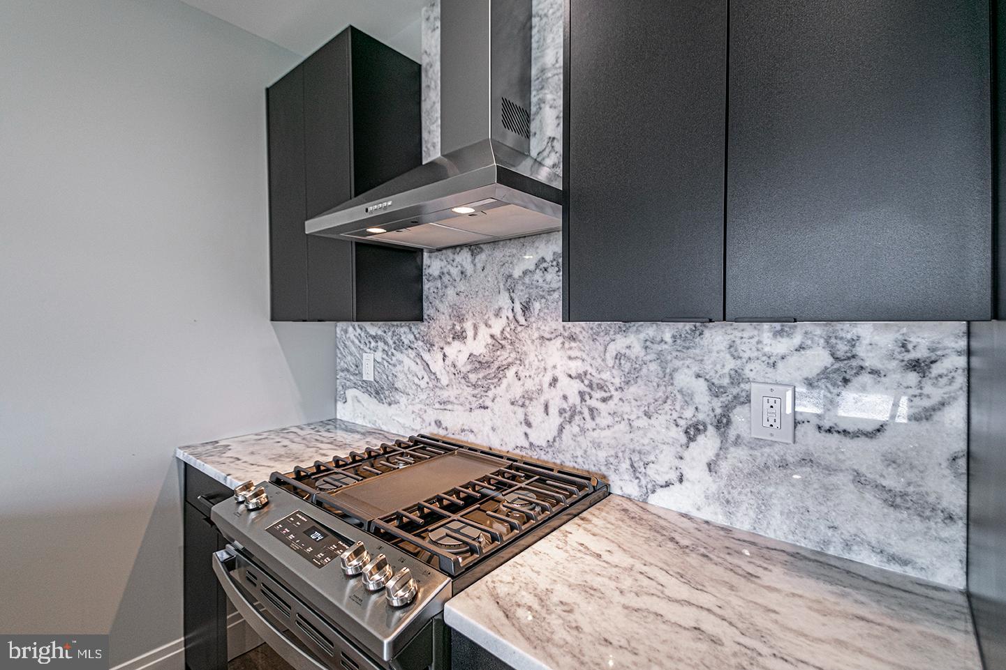 526 BROWN ST #UNIT 205